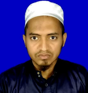 Deen Md Zahid-Freelancer in Bhola,Bangladesh