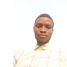 Stephen Adewumi-Freelancer in Abuja,Nigeria