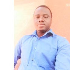 Adama S Koné-Freelancer in Bamako,Mali