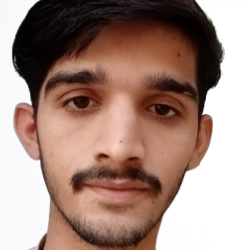 Syed Wajid Shah-Freelancer in Sukkur,Pakistan