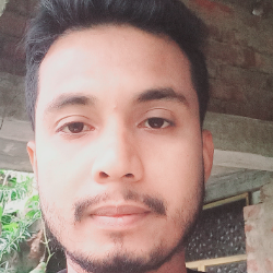 Avijit Kuila-Freelancer in Contai,India