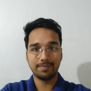 Aditya Sovani-Freelancer in Pune,India