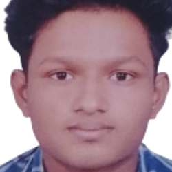 Nittam Chakraborty-Freelancer in Karimpur,India