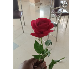 Sharmila Pramanik-Freelancer in Kolkata,India