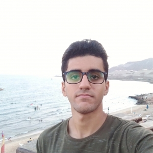 Mohammed Asfour-Freelancer in Alexandria,Egypt