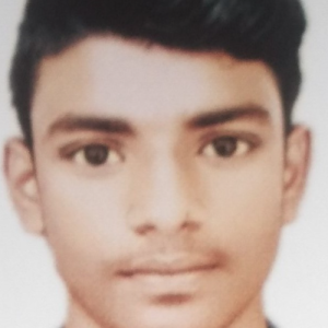 SK skfardeen-Freelancer in khamgaon,India