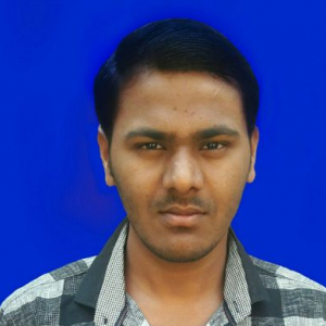 Mahendra Kumar-Freelancer in Payagpur,India