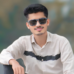 Muhammad Ali-Freelancer in Chakwal,Pakistan