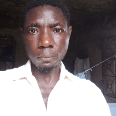 Femi Meduoye-Freelancer in Ugbonla,Nigeria