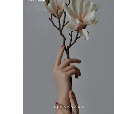 Pallabi Mudi-Freelancer in Asansol,India