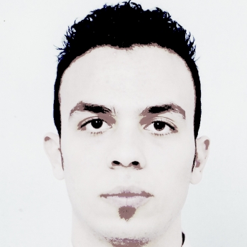 Mohamed Amine Talbi-Freelancer in Saida,Algeria
