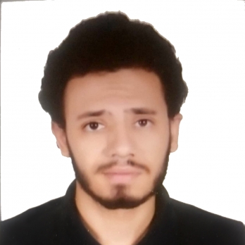 أحمد الفاتح-Freelancer in ,Egypt