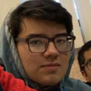 Ricardo Castro-Freelancer in Gomez Palacio,Mexico