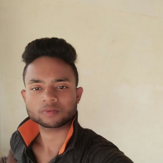 Bikash Kumar Jha-Freelancer in madhubani,India