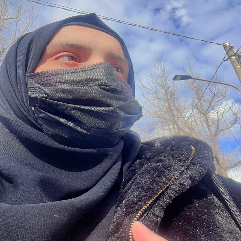 Syeda Jaffri-Freelancer in Brescia, Italy,Italy