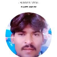 Tajo Teju-Freelancer in Sanghar,Pakistan