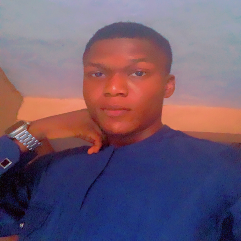 Taiwo Alagba-Freelancer in Lagos,Nigeria