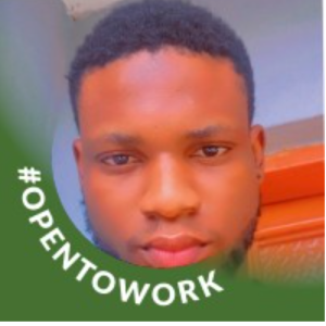 Idris Owoiya-Freelancer in Lagos,Nigeria