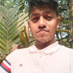 Abu Arman Sayem-Freelancer in Dhaka,Bangladesh