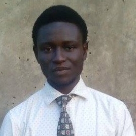 Abubakar Sadiq-Freelancer in Minna,Nigeria