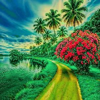 Md Fahad -Freelancer in Dhaka,Bangladesh