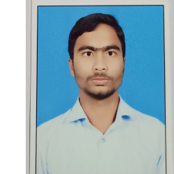 Sibu Padhan-Freelancer in Arang,India