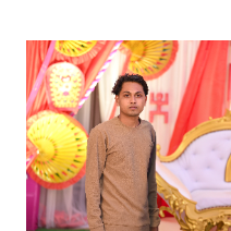 Aslam Mallik-Freelancer in Kolkata,India