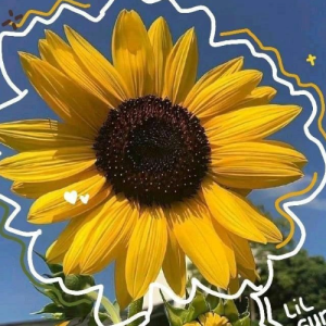 amarjeet kaur-Freelancer in Bahadurgarh,India