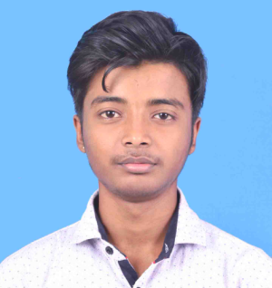 Provakar Sarkar-Freelancer in Kolkata,India