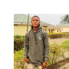 Aderibigbe Michael Gbenga-Freelancer in Benin City,Nigeria