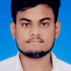 Kumar Rustam Prakash-Freelancer in Ara, Bhojpur,India