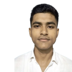 Partha Karmakar-Freelancer in Jagiroad,India