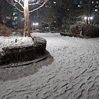 Shiela Sally-Freelancer in Kota Kinabalu,South Korea