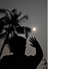 Sk Wasim Akram-Freelancer in Tamluk,India