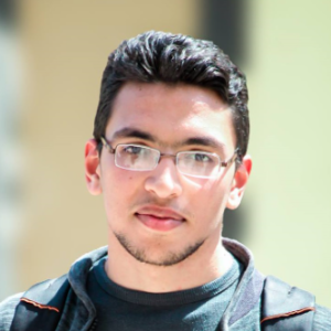 Mohamed Gamal-Freelancer in ,India