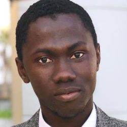 Financial analysis,Treasury and audit-Freelancer in ,Tunisia