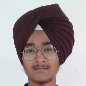 Prabhjot singh-Freelancer in Nabha,India