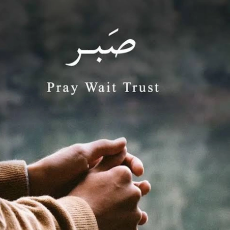 Mehnaz Wani-Freelancer in Reasi Jammu and Kashmir,India