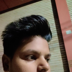 Akash Kumar-Freelancer in Delhi,India