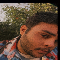 Vansh Uphadyay-Freelancer in Noida,India