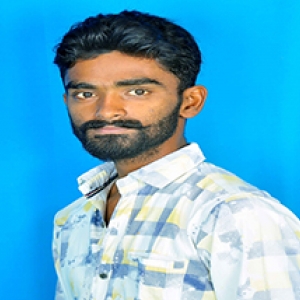 Sathish Kumar-Freelancer in hosur,India