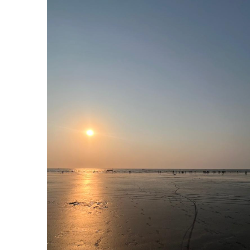 Kavya Shah-Freelancer in Mumbai,India