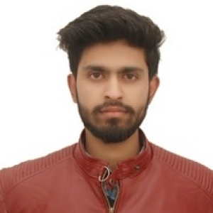 Ankush Dhiman-Freelancer in ,India