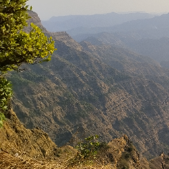 Anshul Bonde-Freelancer in Amravati,India