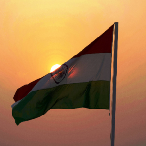 Bharat Kumar-Freelancer in Nagaur,India