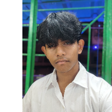 Souptik Sarkar-Freelancer in Kolkata,India