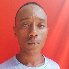 LEWIS NYAMBUNDE-Freelancer in Nairobi,India