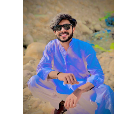 Hamid Ansari-Freelancer in Bahwalnagar,Pakistan