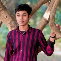 Md Noman-Freelancer in Dhaka,Bangladesh