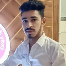 Sharma Ji-Freelancer in bikaner,India